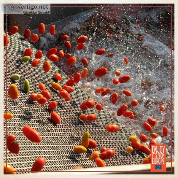 Canning Tomatoes Production Process