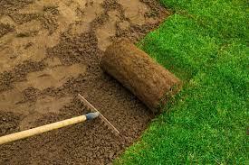 Lawn Care Services In California