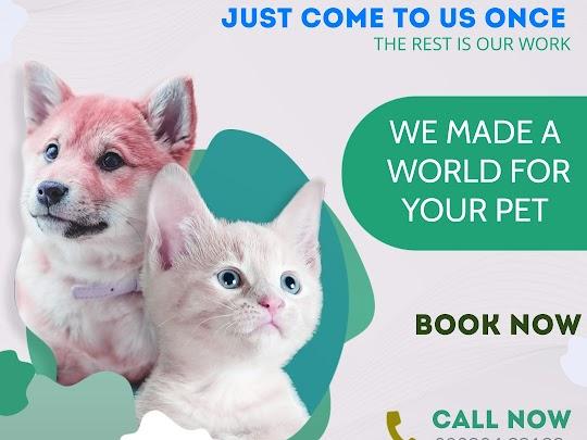 pet clinic in dombivli