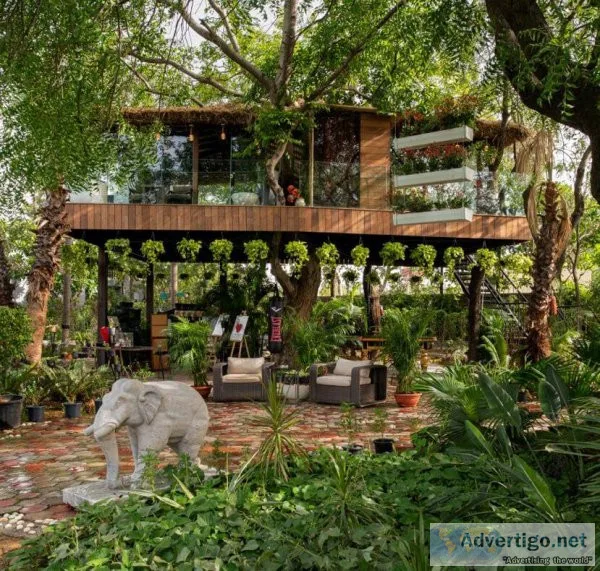 Get the best treehouse cottages for couples at Ira Luxe Staycati