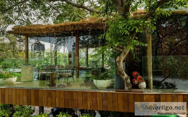 For the best tree house in Delhi for couples come to Ira Luxe