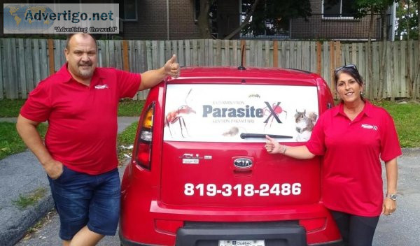 EXTERMINATION GATINEAU ET CONTR&OcircLE ANIMALIER