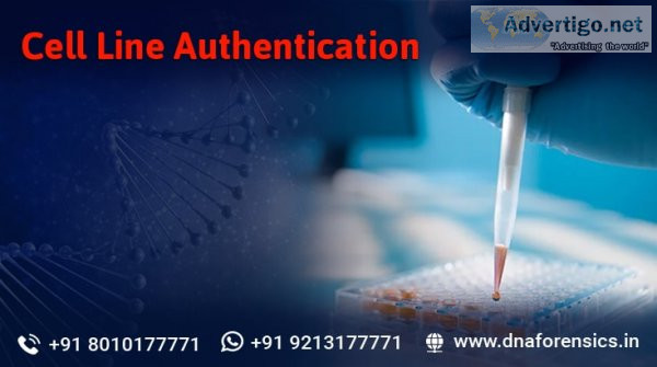 Cell line authentication dna test in india