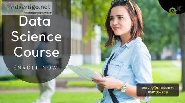 Data Scientist Course