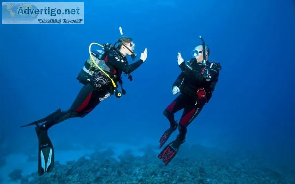 Scuba diving in kovalam | bond safari