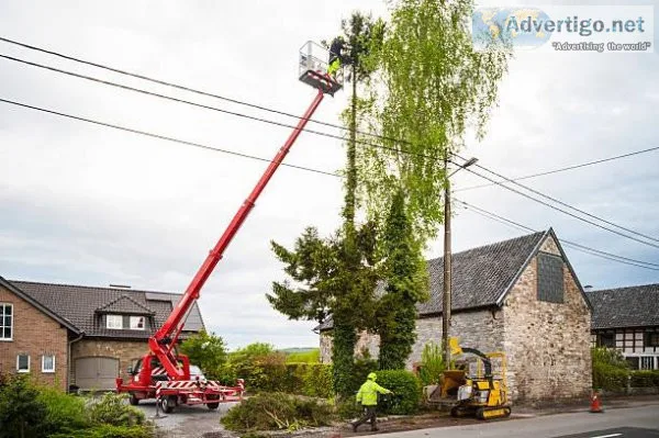 NY Tree Removal
