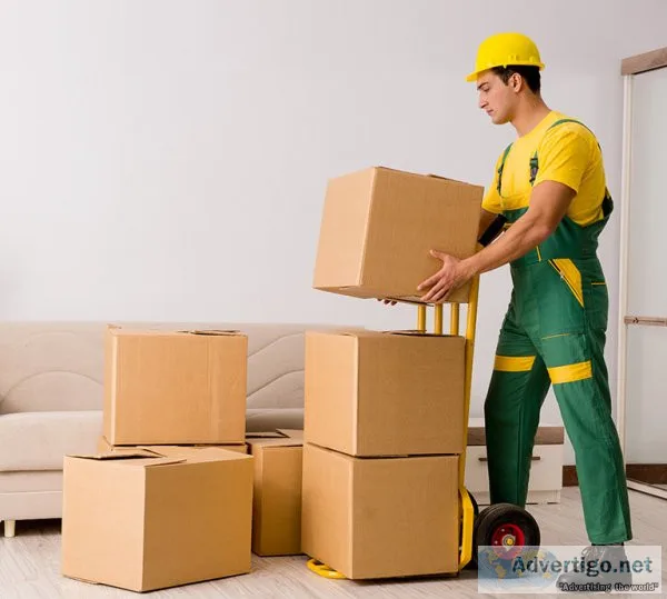 Mover and packer in sharjah