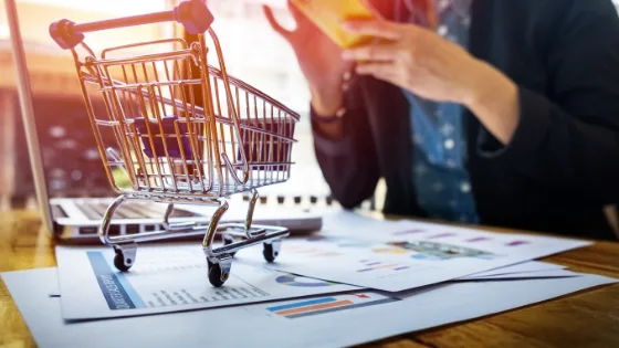 Ecommerce Development Company in Delhi
