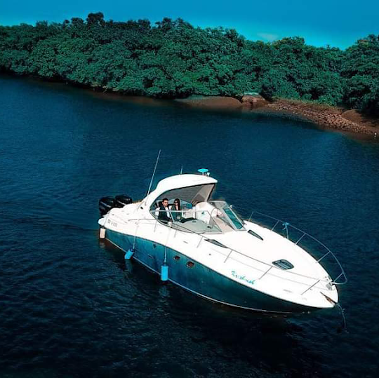 Luxury Rental offer the Best and Affordable Charter Yachts in Go