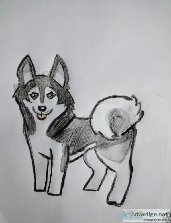 Colored Black and White Cute Winter Sled Dog GG &ndash 8.5&Prime