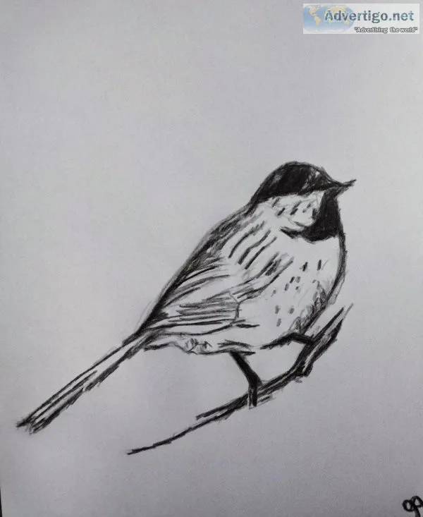Black and White Winter Robin Bird GG &ndash 8.5&Prime x 11&Prime