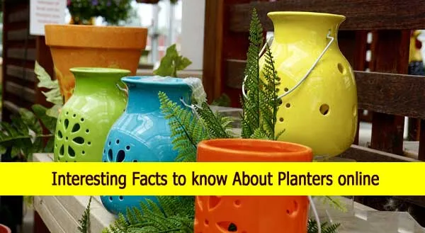 Planters online , planters online india | buy planters online in