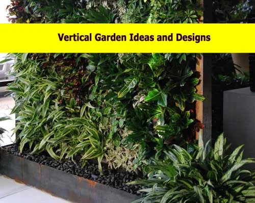 Vertical garden design | vertical garden ideas
