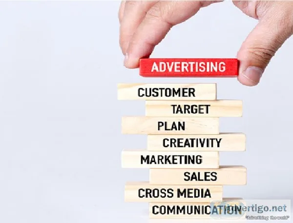 Seo company in delhi