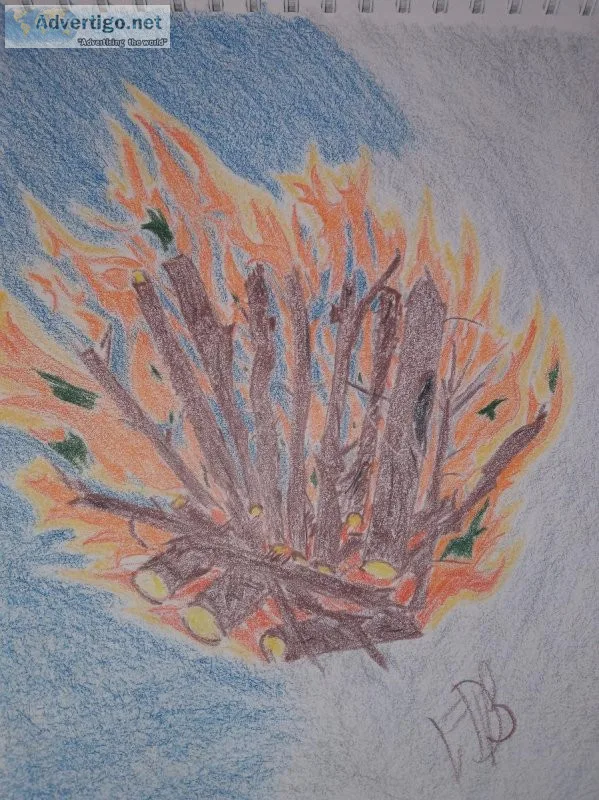 Beauty in Flames