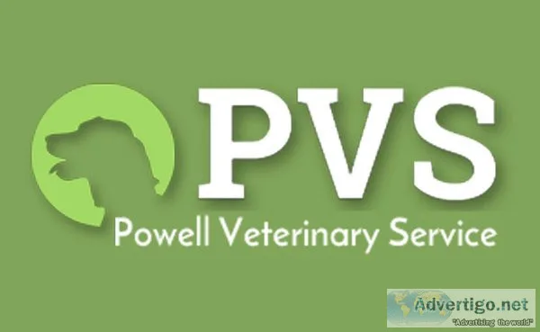 Boarding Services For Dogs and Cats Near Greeley Evans Gilcrest 