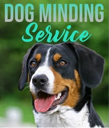 The Best Dog Minding-OKC-Moore Vera s Posh Paws.