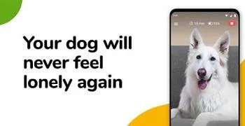 Dog Daycare Webcam-OKC-Moore Vera s Posh Paws.