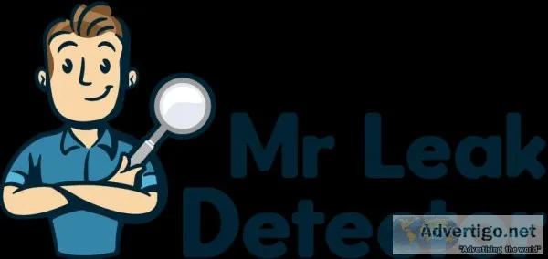 Mr leak detector