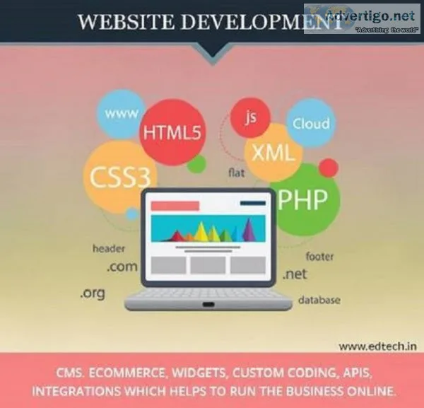 Ecommerce website developers in delhi