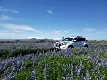 private tours Iceland