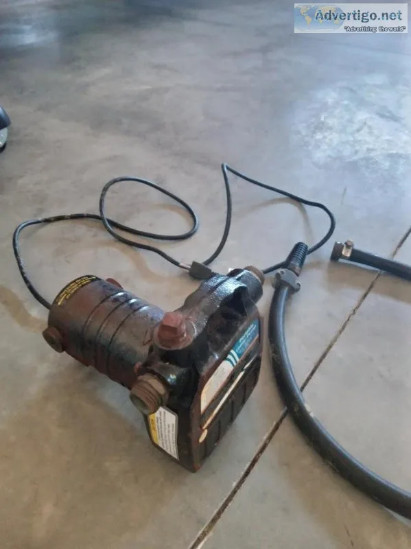 Small transfer pump