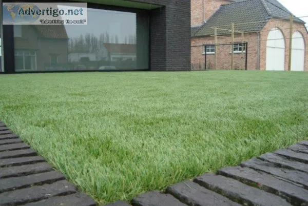 Install high-quality artificial turf in india