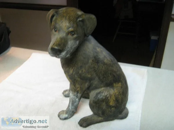 Plaster POOCH