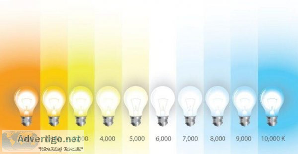 cool white vs daylight