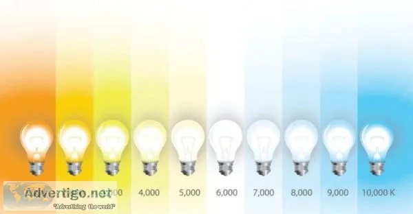 cool white vs daylight