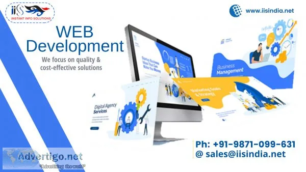 Best website design company in delhi | iisindia
