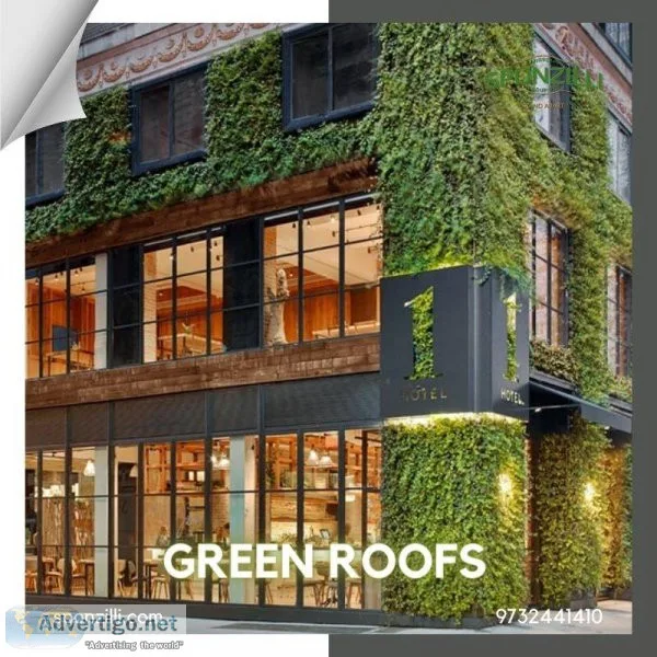 Green roofs