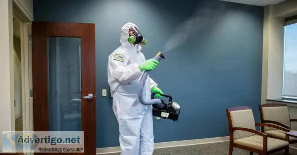 Pest control services in chennai ? pestronics