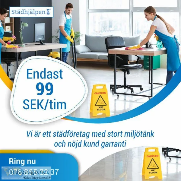 Professionell F&oumlnsterputsning i Sk&aringne