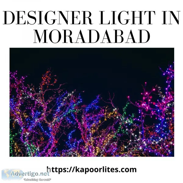 Designer Light In Moradabad