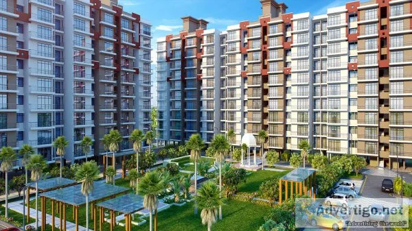 Signature global sector 88a
