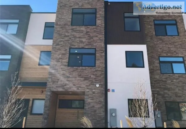 Brand New Contemporary Townhome for rent