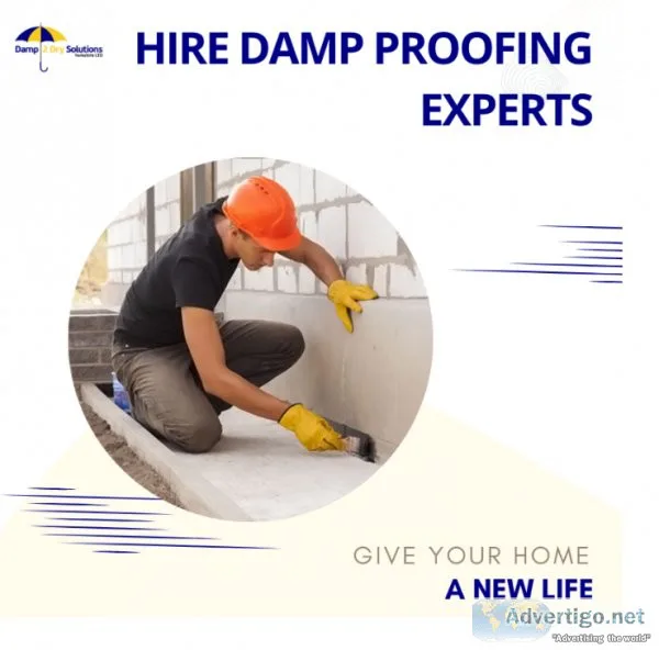 Hire the best damp proofing experts at affordable rates