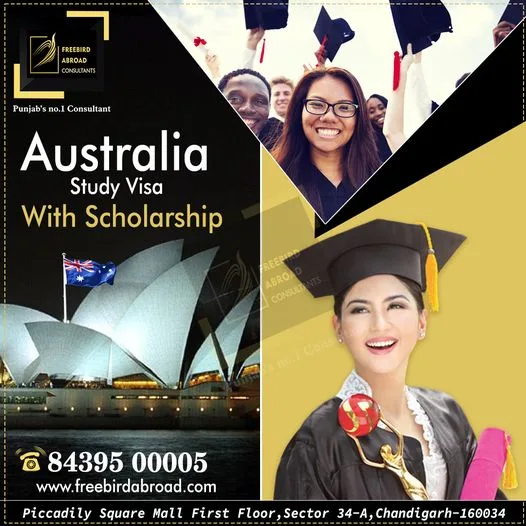 Qiuck visa process consultant in chandigarh - freebirdabroad