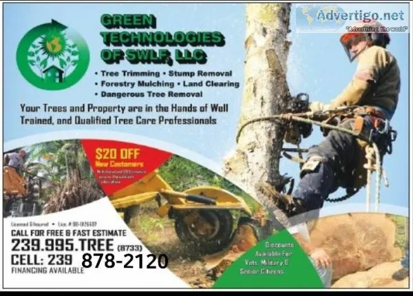 Tree Clearning and Removal and Land Clearing - FREE ESTIMATE