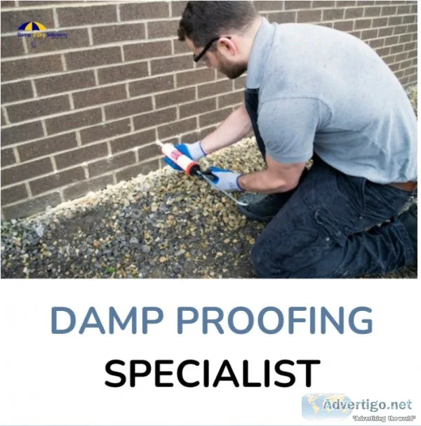 Hire the damp proofing specialist in sheffield at affordable rat