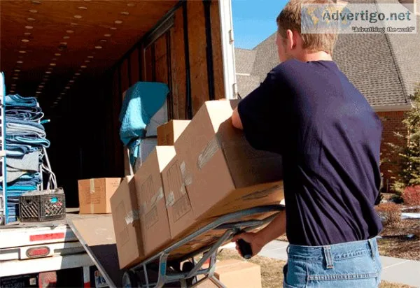 Goodwill-All Time Packers And Movers Services In Hajipur