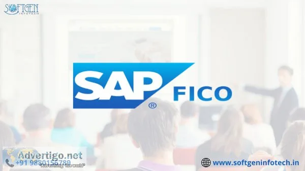 Best SAP FICO Training in BTM Bangalore With Placement  Softgen 