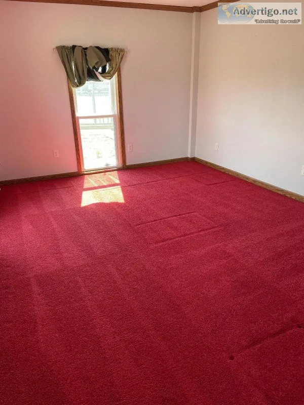 The Extractor carpet cleaning