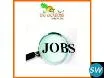 Requirement for part-time internet based work