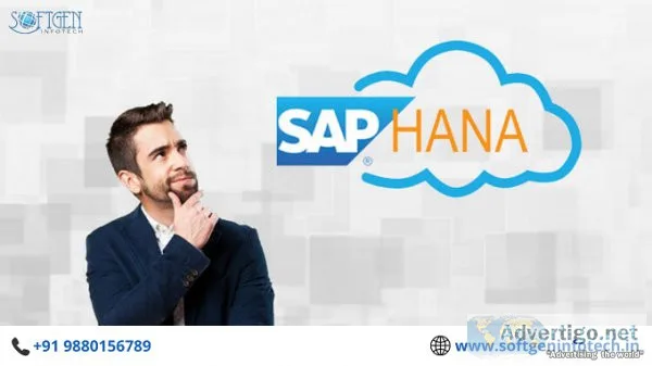 Best SAP HANA Training In BTM Bangalore  Softgen Infotech