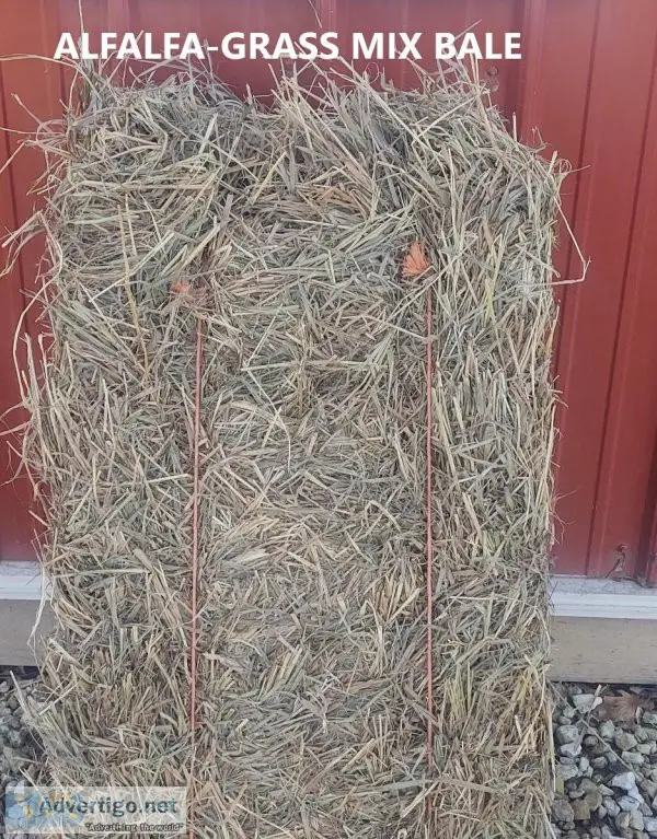 Small Squares Hay FOR SALE