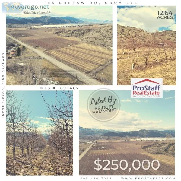 Income-Producing Orchard