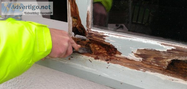 Window Repair Service in Macomb County