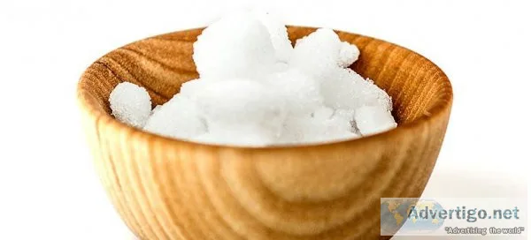 Camphor manufacturers